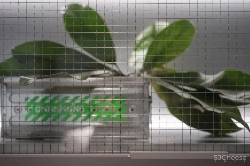 小空间内的未来聚集地 onnnnnne more酒吧