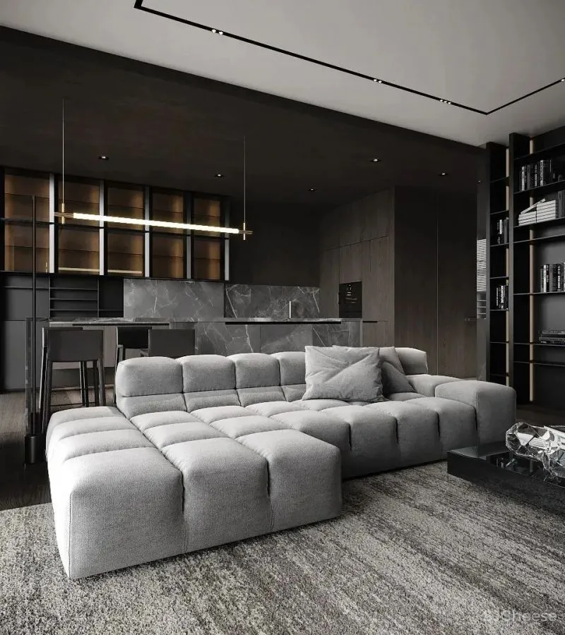 高级灰,无法抗拒的美 IQOSA Architect设计