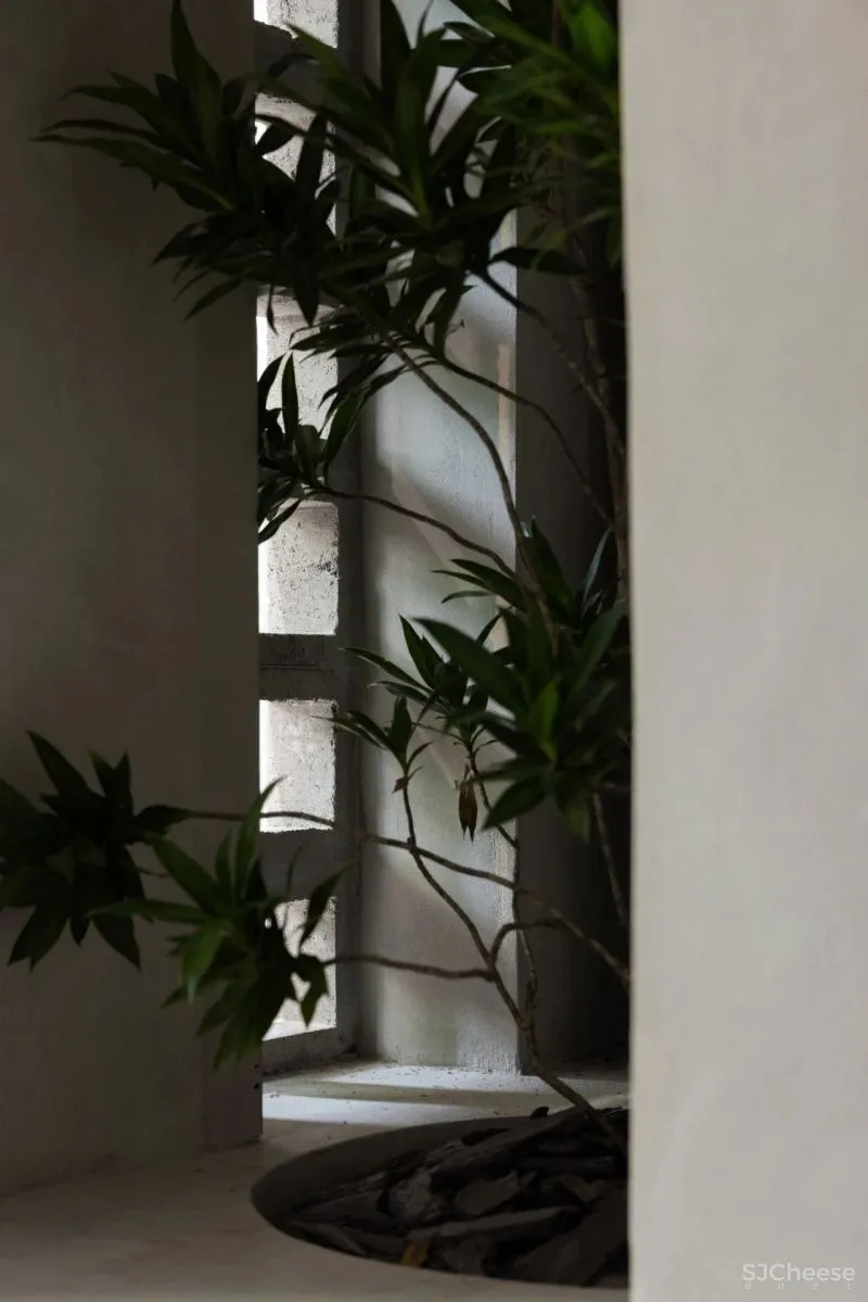 TLID 桐里 × Hibake·郭中原的日式面包店:遇见“京都”,一个日式小屋