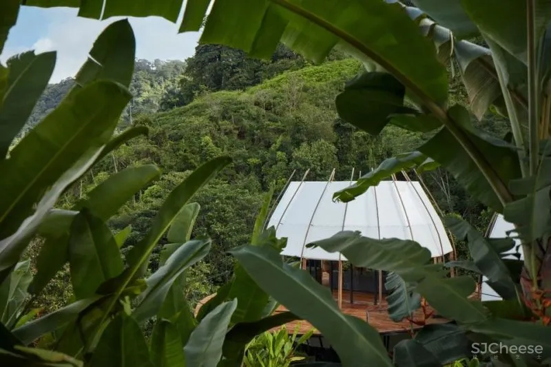 新作 热带丛林中的冒险体验 COCO艺术别墅度假村 ARCHWERK - Formafatal