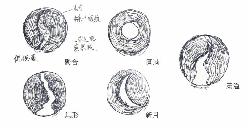 矩陣新作｜上海金地西郊風華