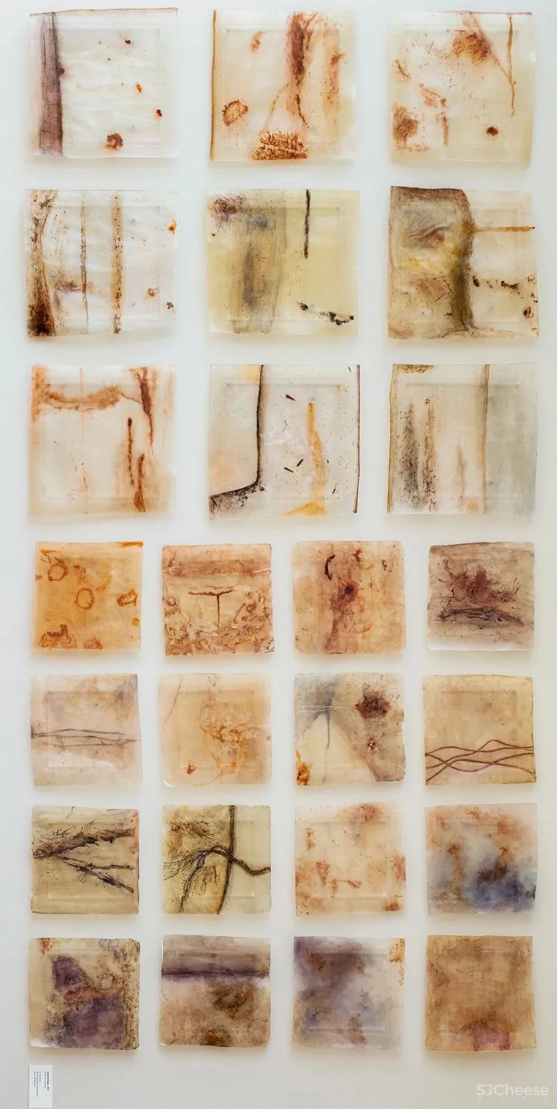 红山设计 自然延展的纯粹空间,气质十足的ECCO总部办公