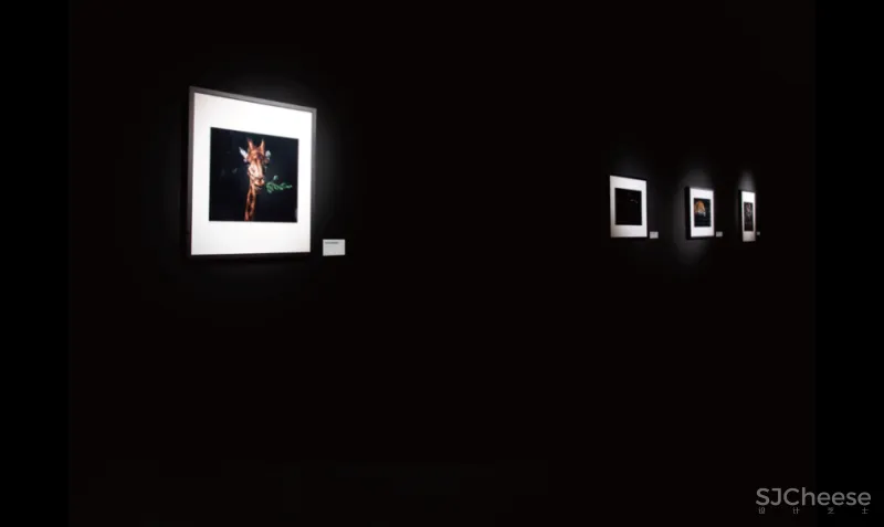 在贝聿铭家族的私宅泡汤，这家苏州大热的精品酒店