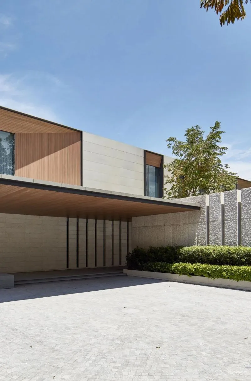 SCDA 绝美的优雅