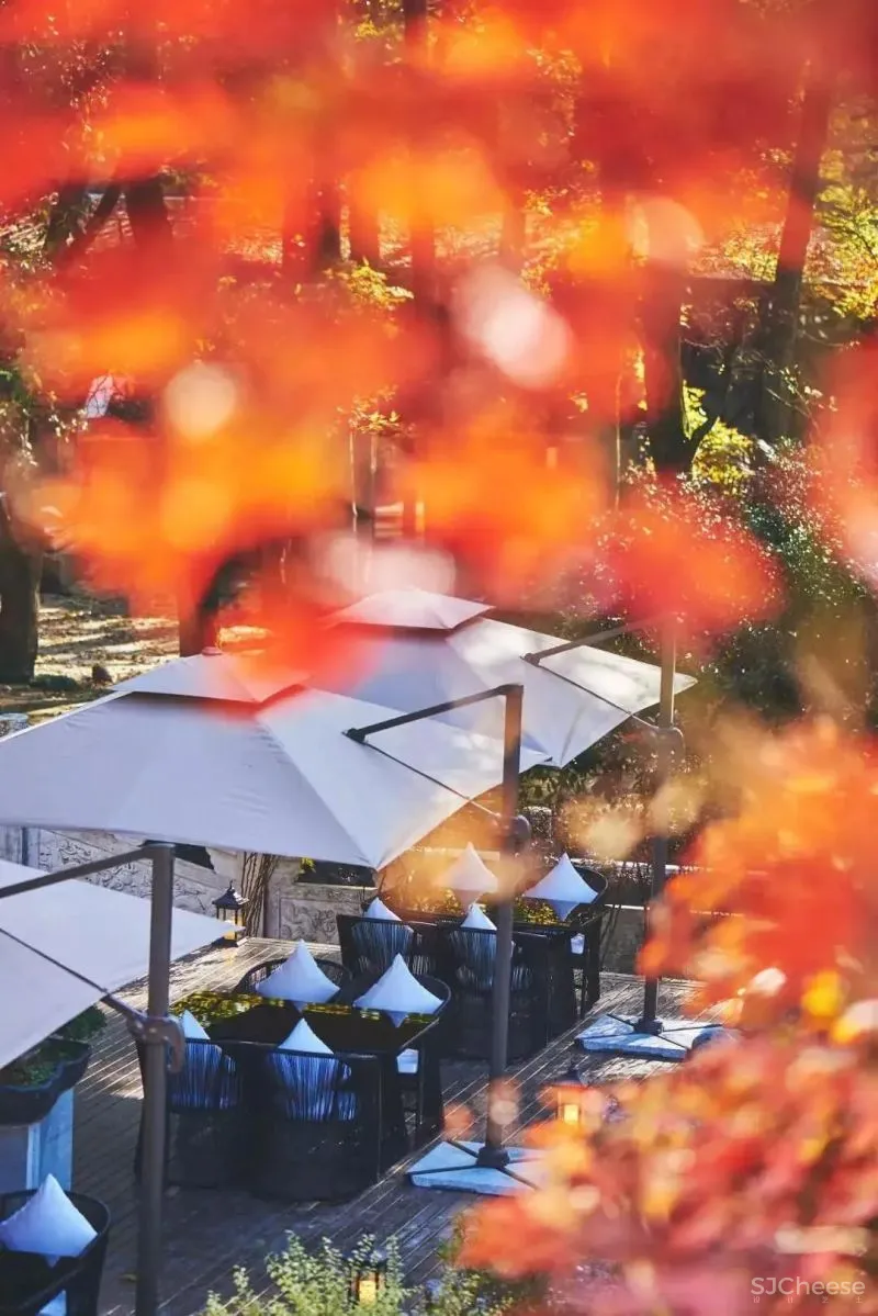 2021全新行程 看王澍、徐甜甜、张雷、刘家琨等大咖设计之下的江南乡村秘境