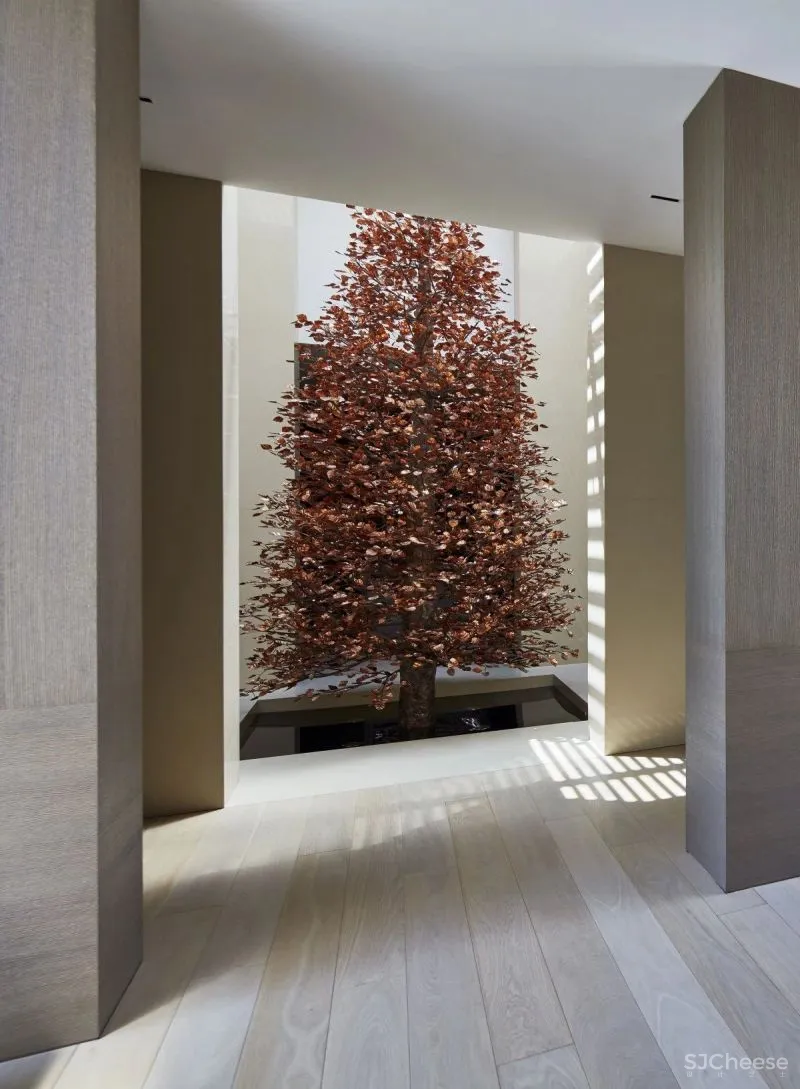 SCDA 绝美的优雅