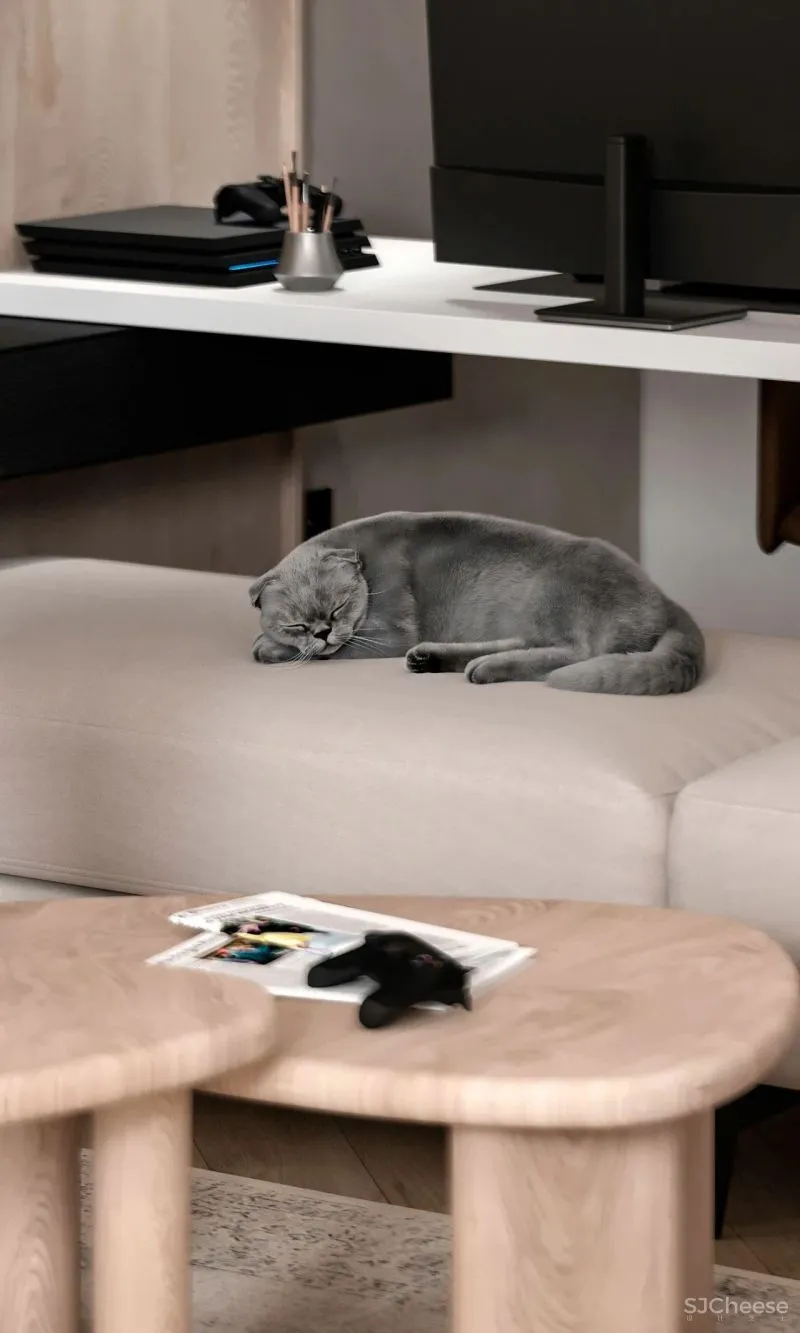 家里这样用木饰面,不仅清新更有格调