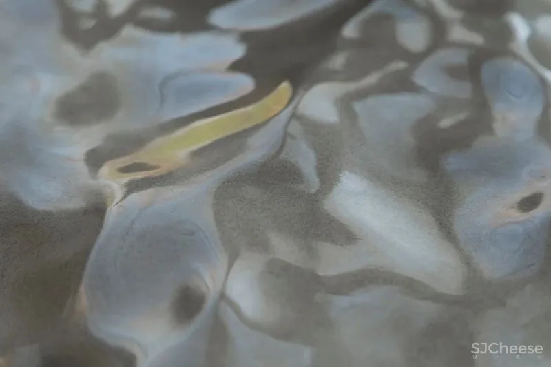 关联以空间的「解构性」和「抽象性」 构序「超现实的界面」