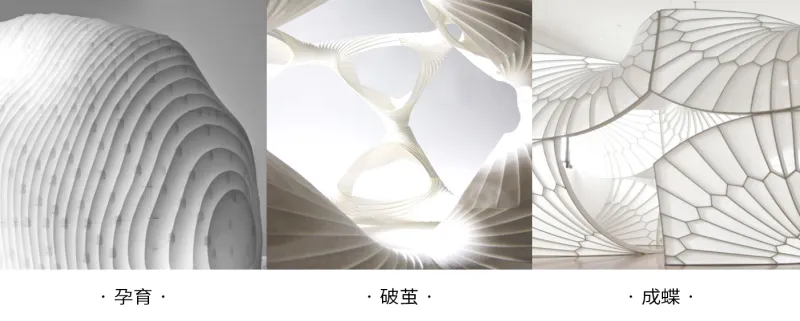 意巢设计丨自然生长,破茧化蝶