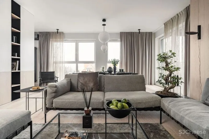 Interno Iza Gajewska新作|现代主义家庭美感