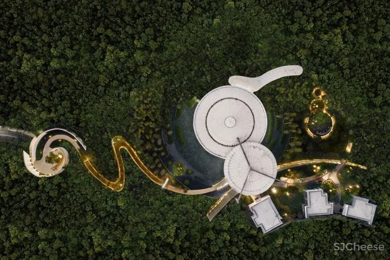 意巢设计丨自然生长,破茧化蝶