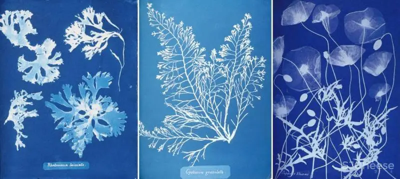 梁志天作品:万科安品园舍别墅,文雅和畅的当代写意 !