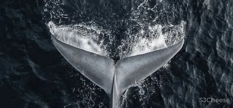 165㎡海上生活“大玩家” 纳沃设计