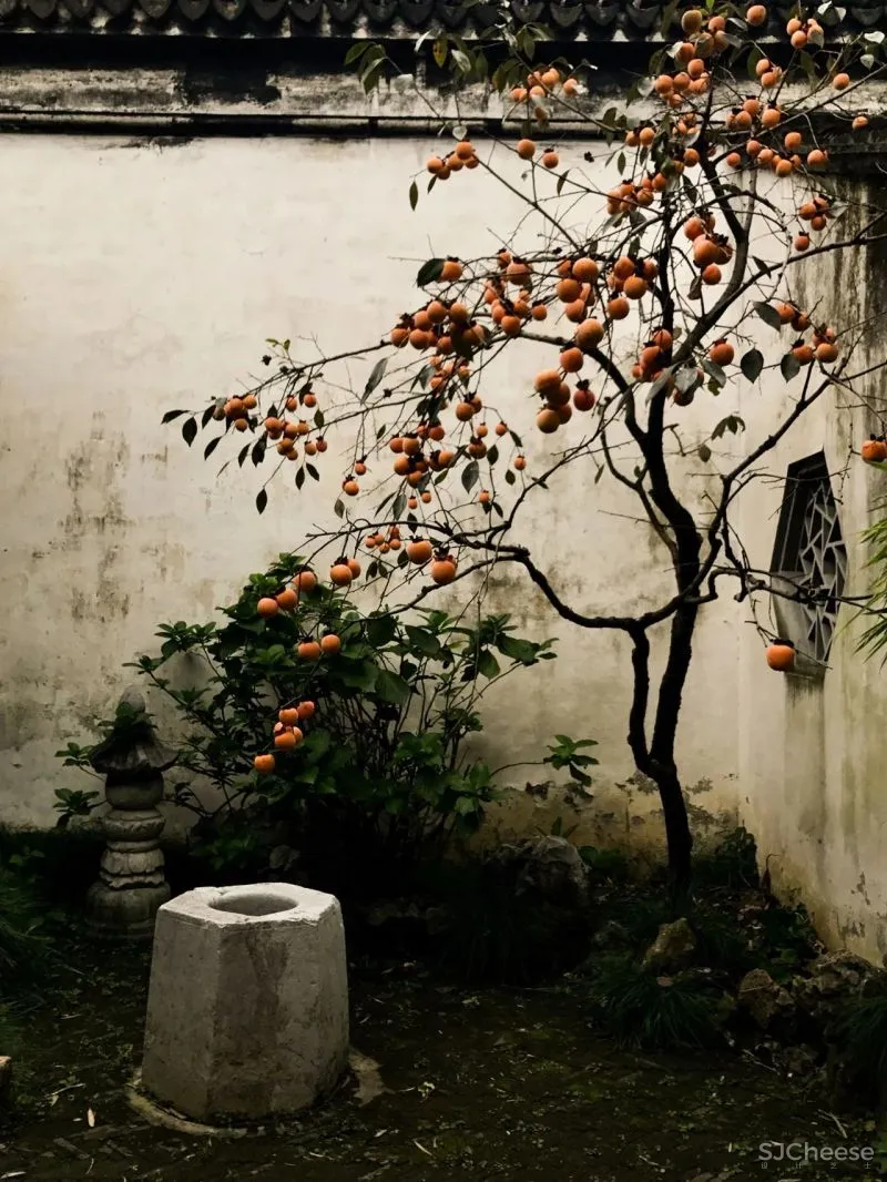 中式庭院,这才是最让我们心动的院子