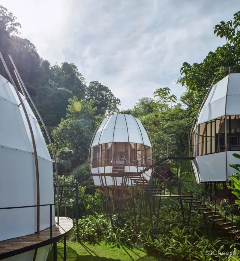 新作 热带丛林中的冒险体验 COCO艺术别墅度假村 ARCHWERK - Formafatal