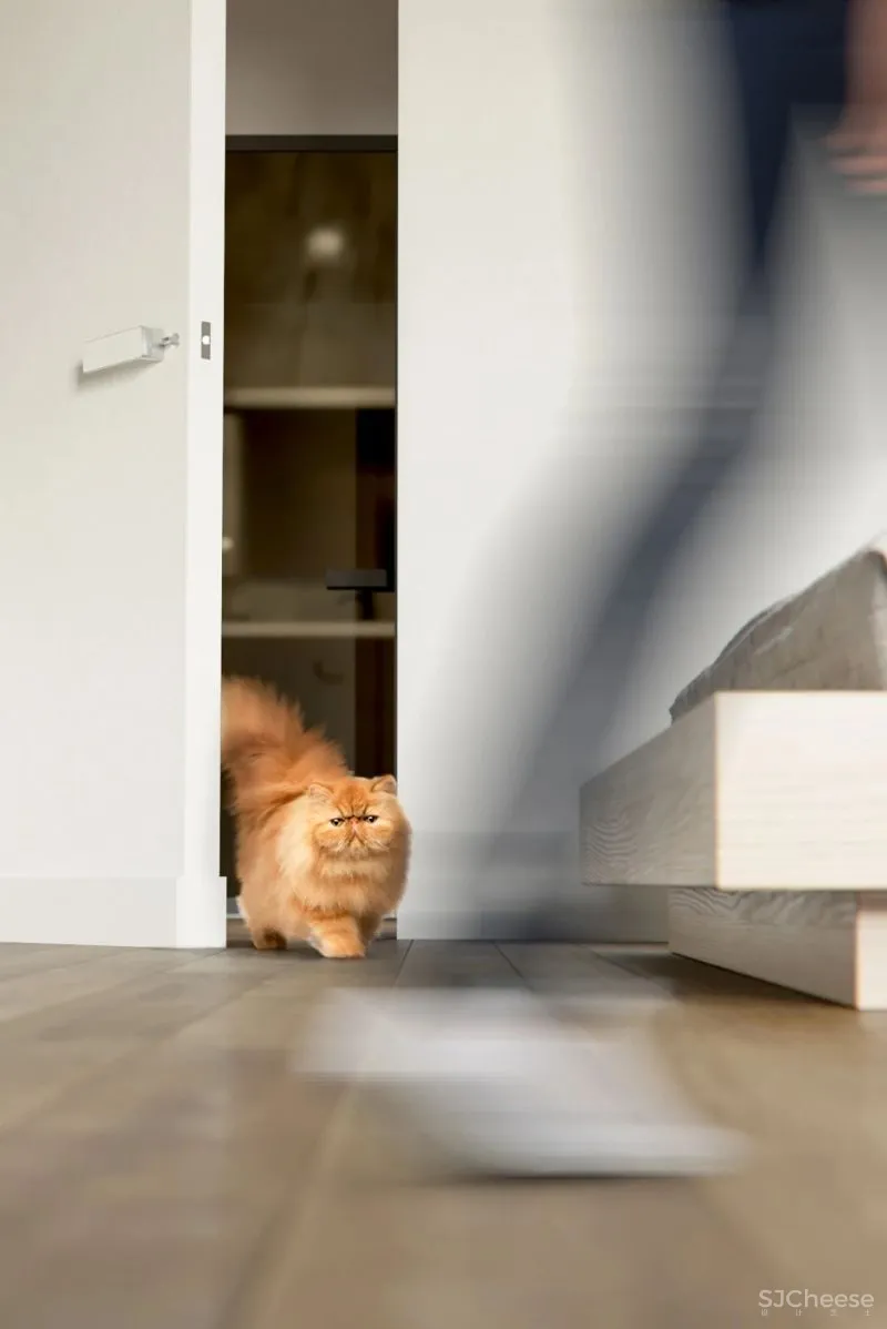 现代极简,有品位的设计!