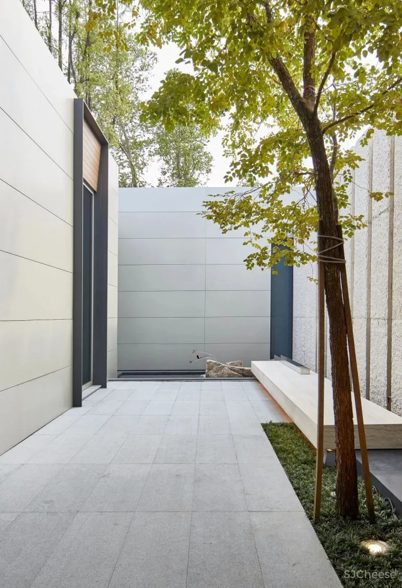 SCDA 绝美的优雅