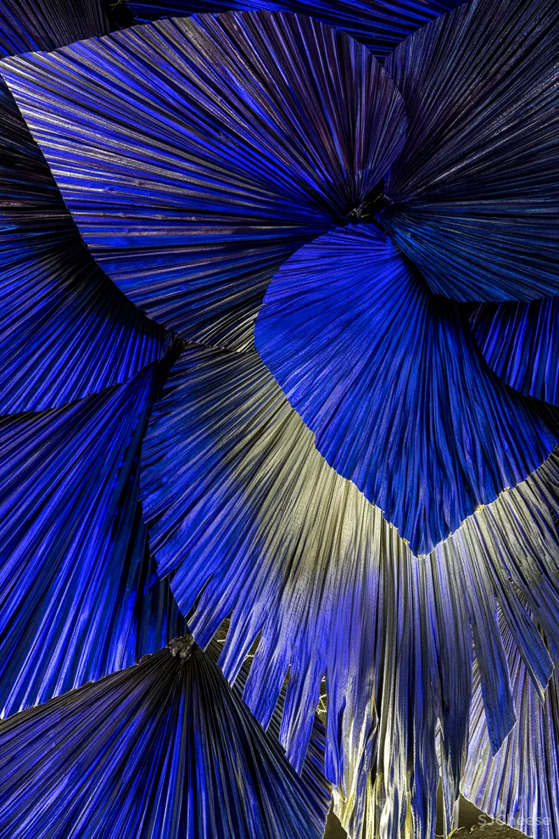 邵龙 • 在木星酒吧|不甘寂寞的宇宙星空,感性与理性的交替共振