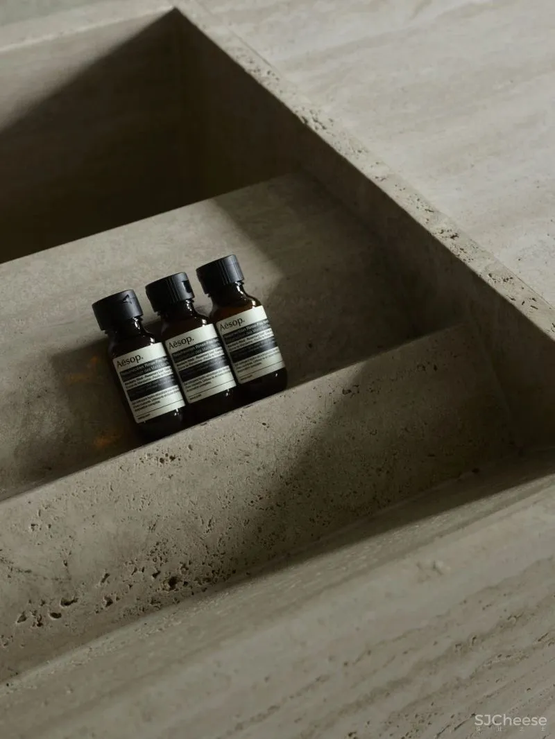 商业标杆 伊索Aesop CCA