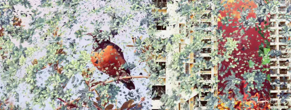 放开那个阳台,让它好玩儿——80㎡多元化空间 九和设计