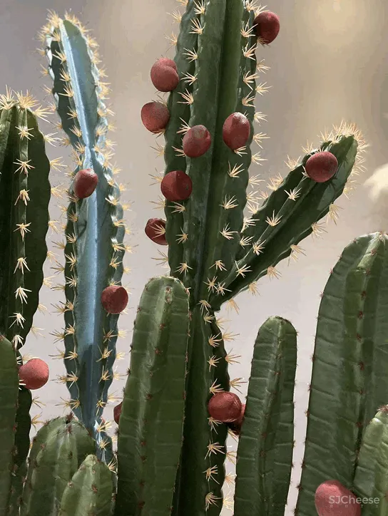 放开那个阳台,让它好玩儿——80㎡多元化空间 九和设计