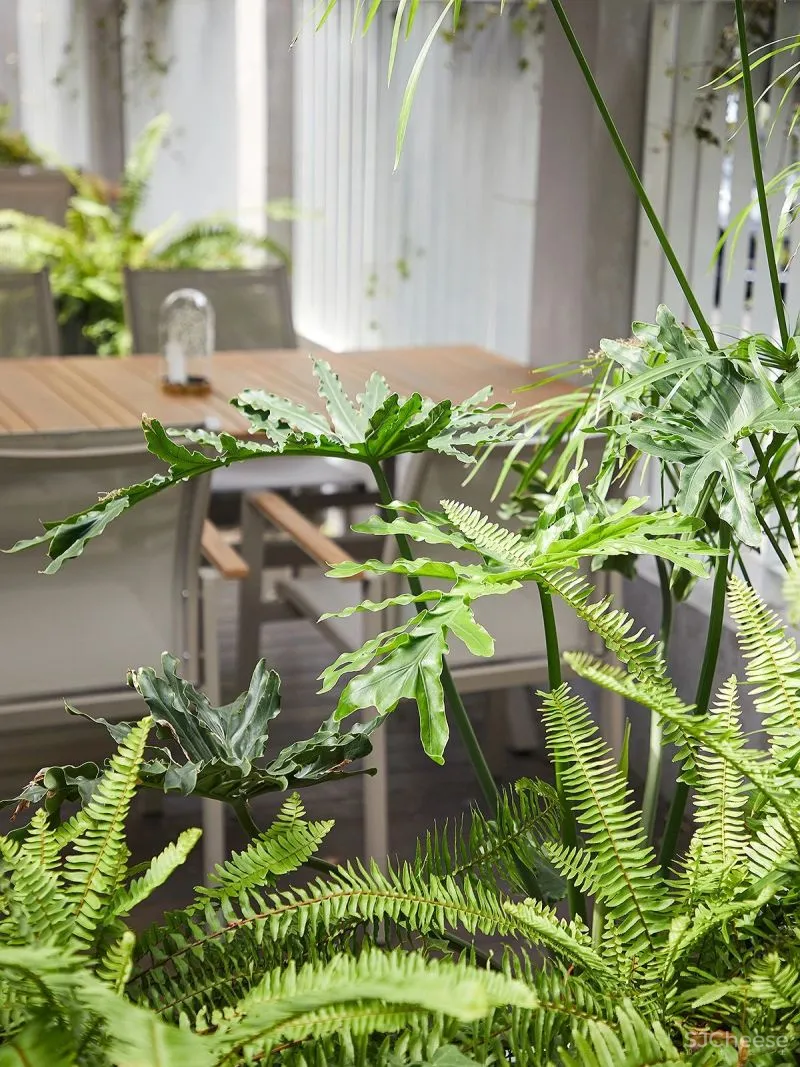 石伟达:从理性逻辑中寻找创意灵感