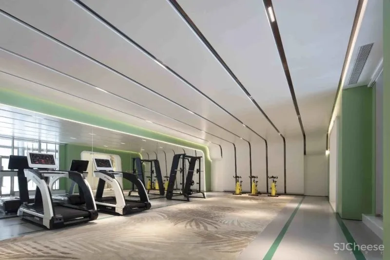 置在设计:在星光森林畅游梦想