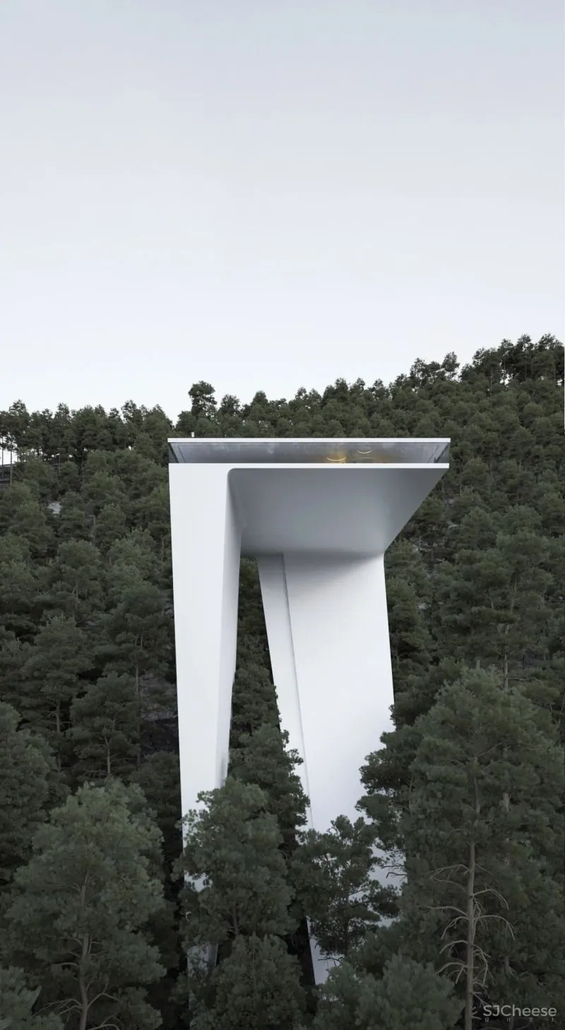 Roman Vlasov 疯狂又浪漫的设计