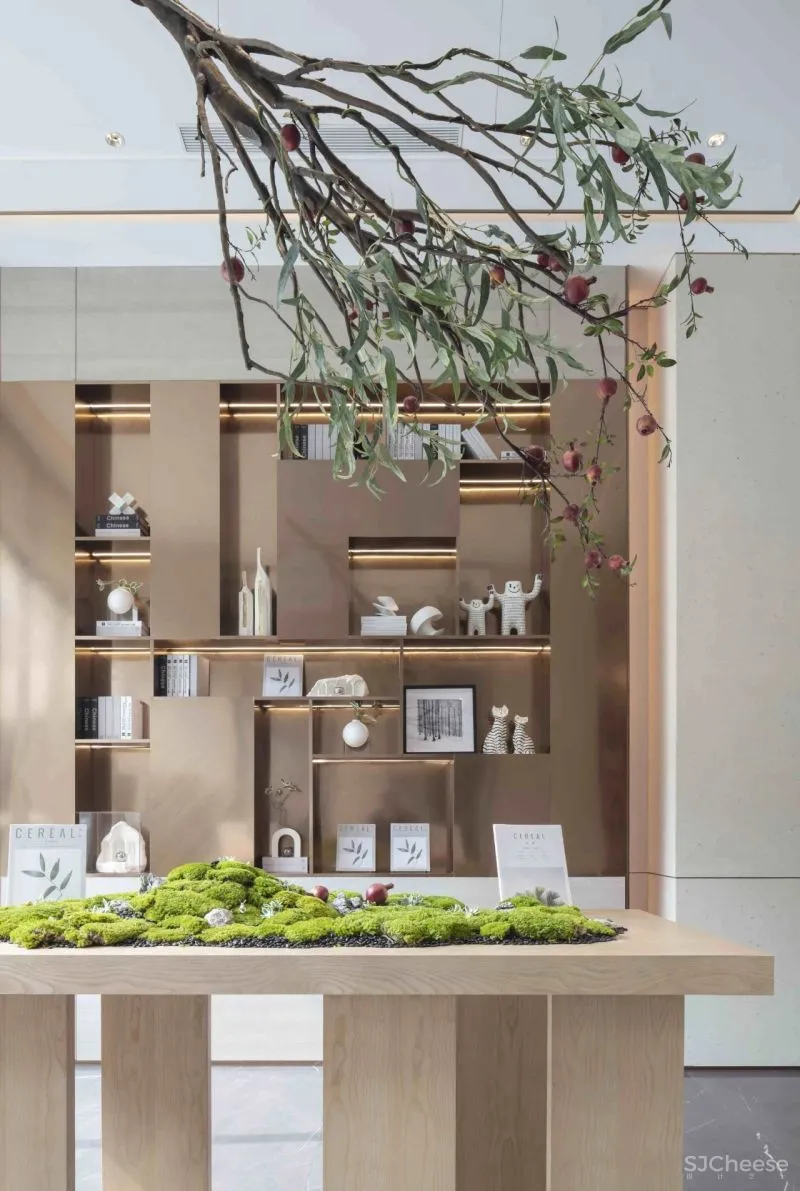 置在设计:在星光森林畅游梦想