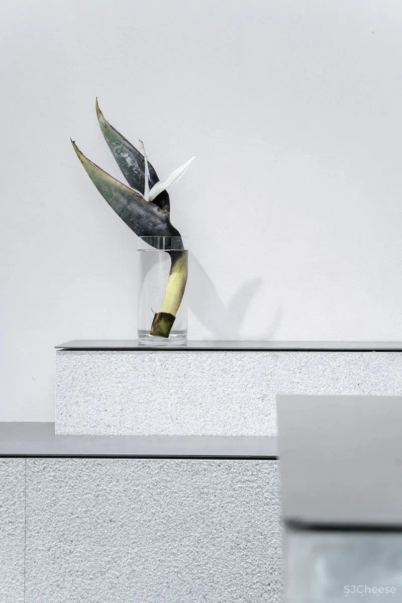 Absolute精品花艺店,上海