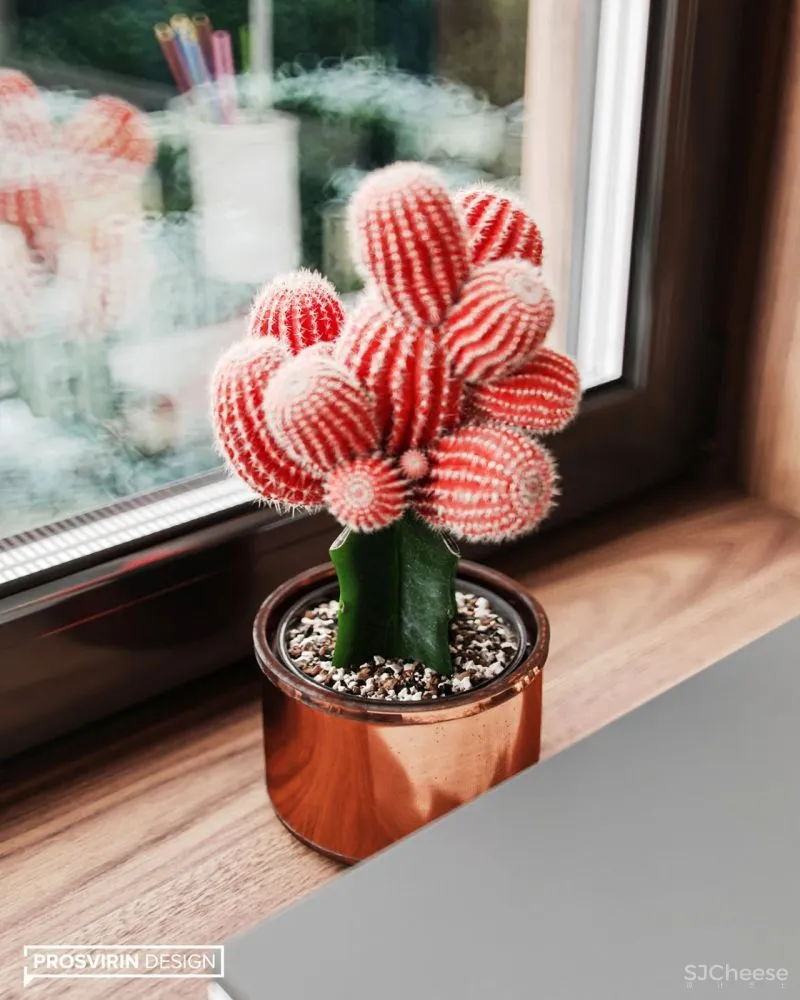 90㎡现代轻奢,营造舒适温暖感!