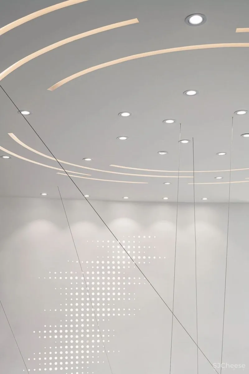 S.U.N × 中建|人与自然的永恒话题