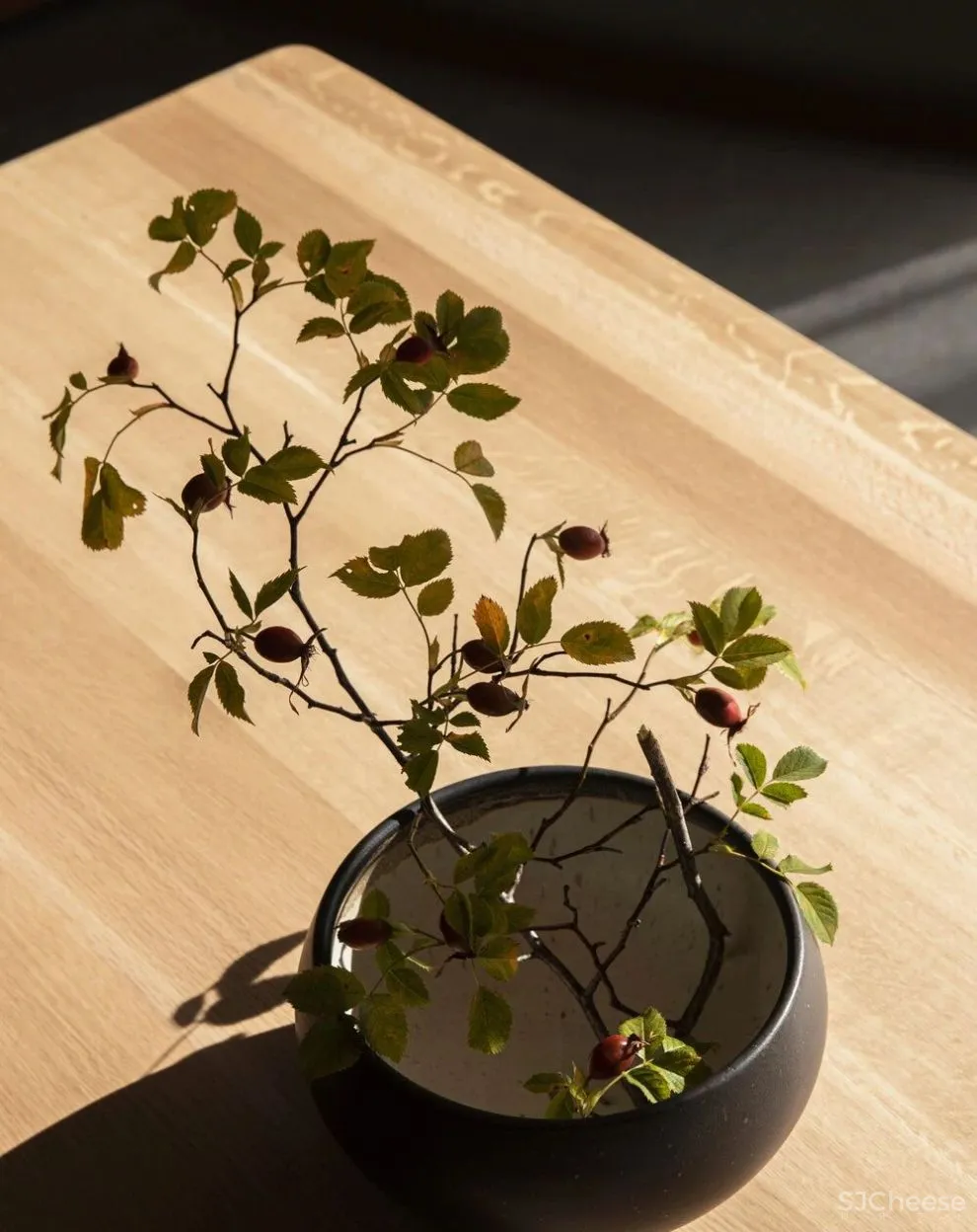 Norm Architects |群島住宅