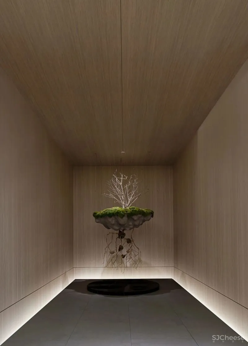 苏州图书馆入驻!这座 2600 ㎡ 售楼处将光线与建筑融合到极致