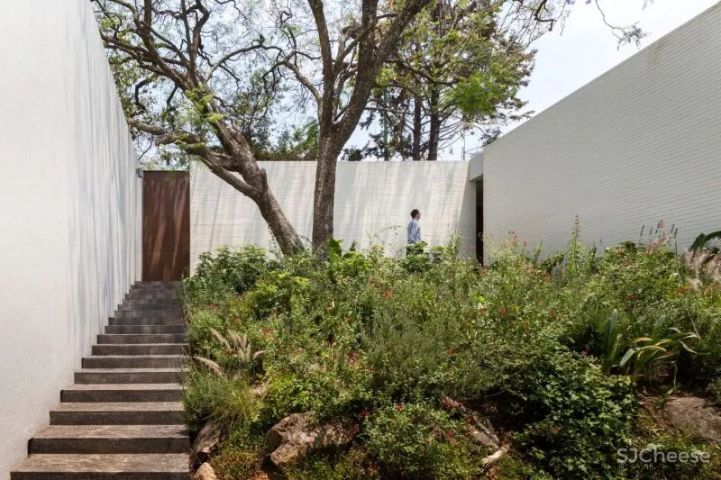 Manuel Cervantes Estudio丨设计这么玩,光影从此更高级