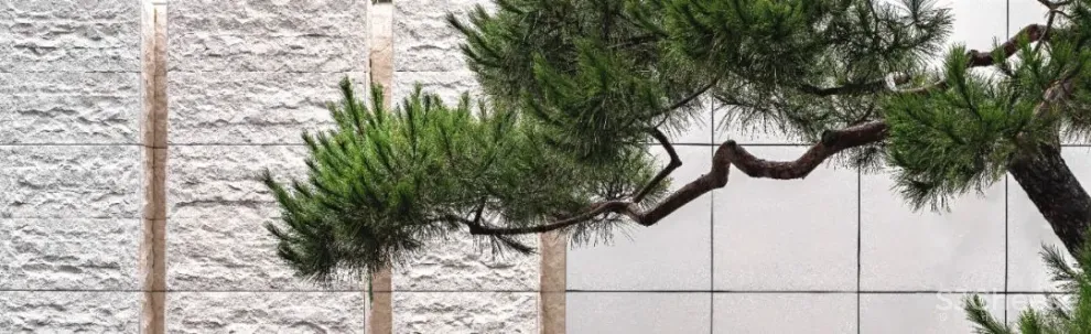 菓尔设计 以水入境，造一个园，垒一座山，筑一间舍