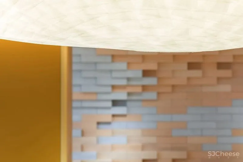 红山设计 自然延展的纯粹空间,气质十足的ECCO总部办公