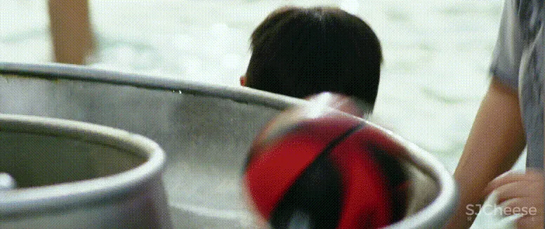 新作 终于来了，2020 中国最美幼儿园——广州圣果国际幼儿园！