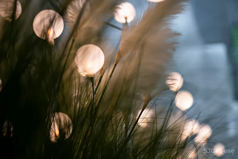 韩松：邂逅一场视觉盛宴！