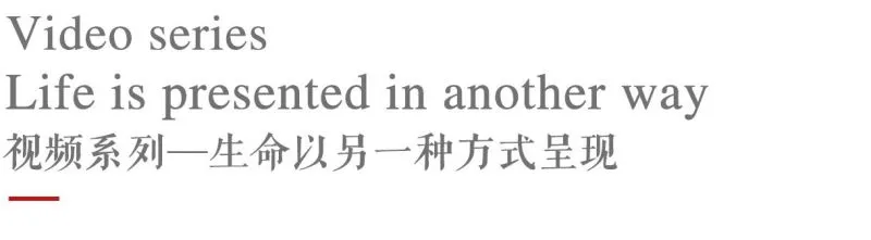 新作 终于来了，2020 中国最美幼儿园——广州圣果国际幼儿园！
