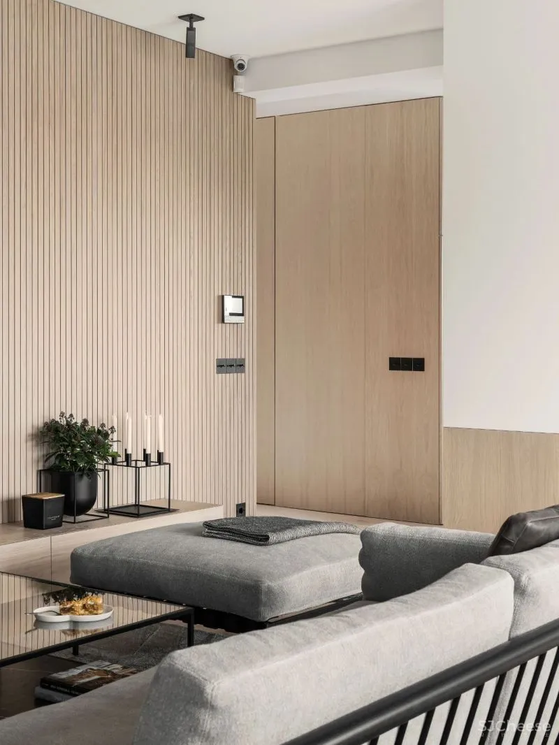 Interno Iza Gajewska新作|现代主义家庭美感