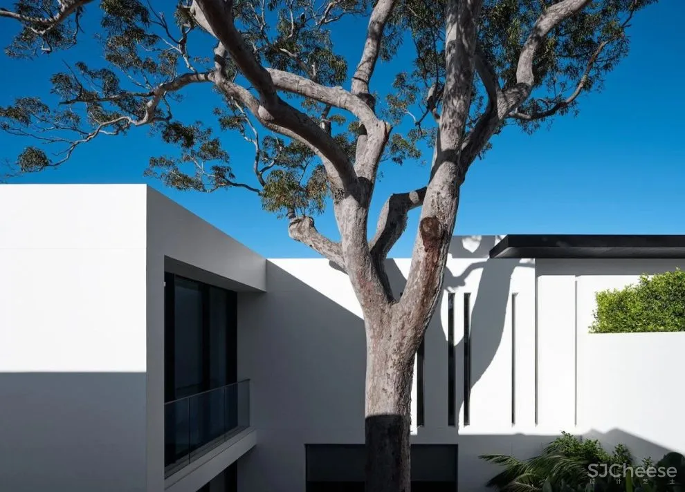 悉尼的诗意极简主义 Mathieson Architects新作