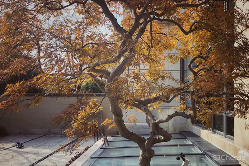 大士设计 • 墨韵西溪|中西合璧的家,“色香味”的人文建筑表达