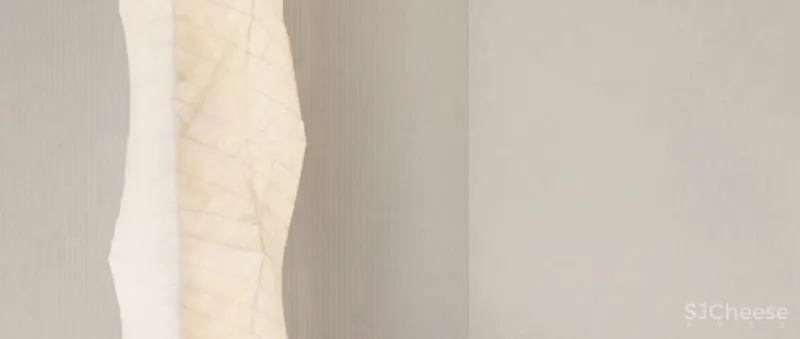 共向美学 安住自然