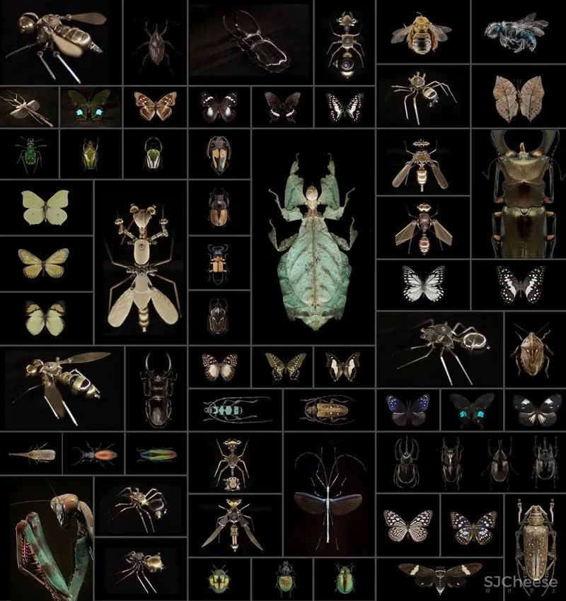 关联以空间的「解构性」和「抽象性」 构序「超现实的界面」