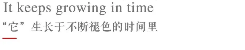新作 终于来了，2020 中国最美幼儿园——广州圣果国际幼儿园！