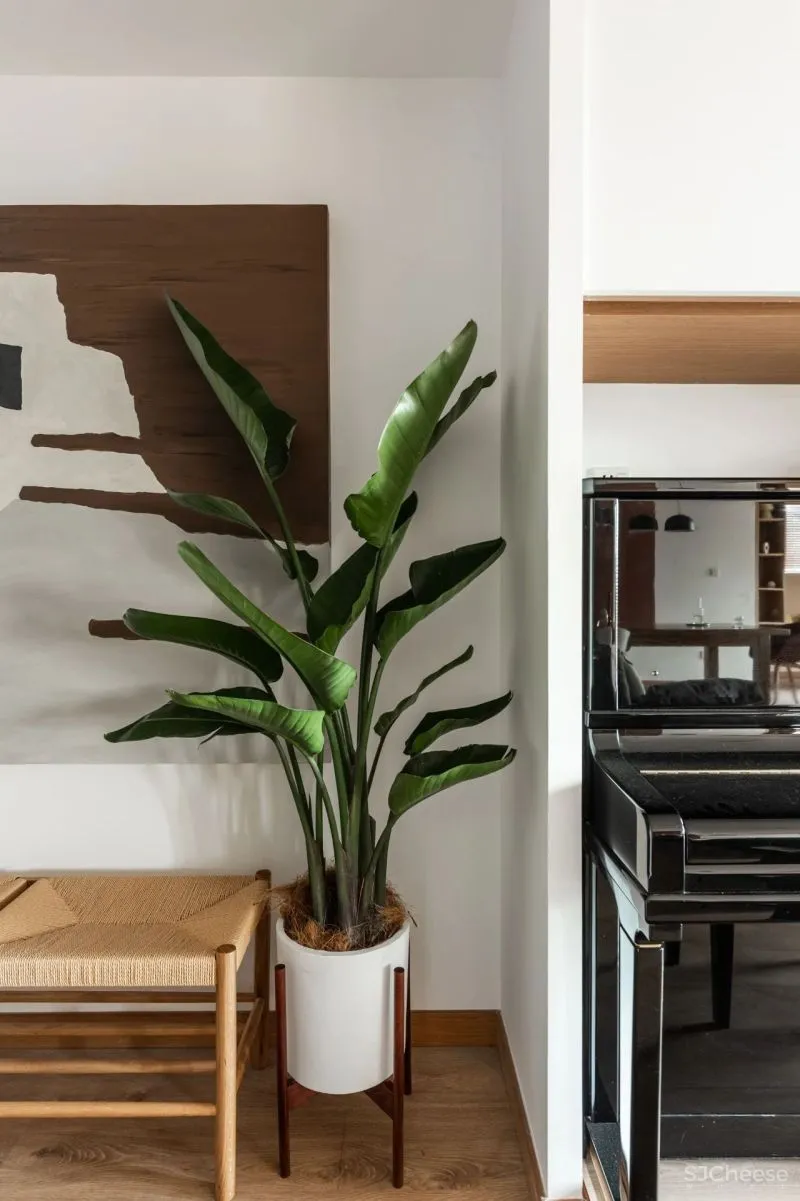 如何把宋朝装进家？136㎡两室“碰瓷”《清平乐》配色，胭脂红、浅棕黄，让人1秒穿越