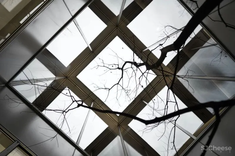 苏州图书馆入驻!这座 2600 ㎡ 售楼处将光线与建筑融合到极致