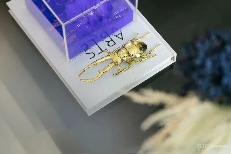 宁静和谐的空灵之美，邂逅都市理想居所！