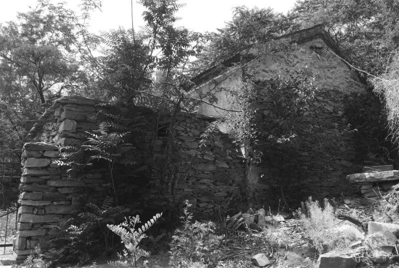 新作 十二个宅基地的新生：泰安东西门村活化更新 孟凡浩 gad · line studio